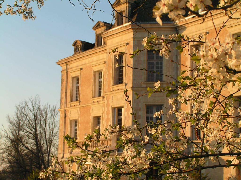Contigné Chateau De La Haye Bed & Breakfast エクステリア 写真