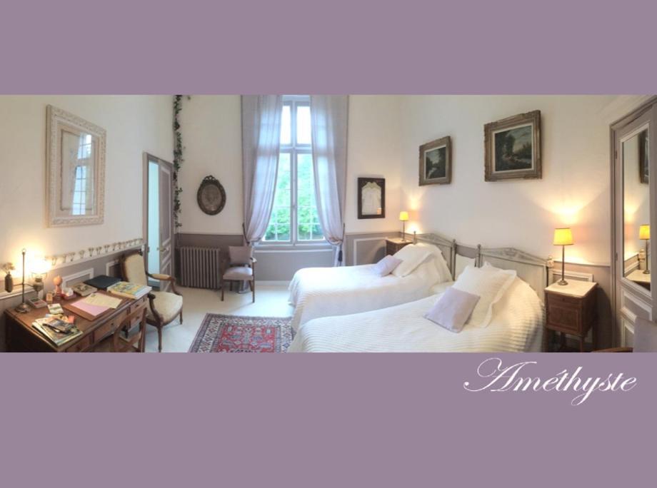 Contigné Chateau De La Haye Bed & Breakfast エクステリア 写真